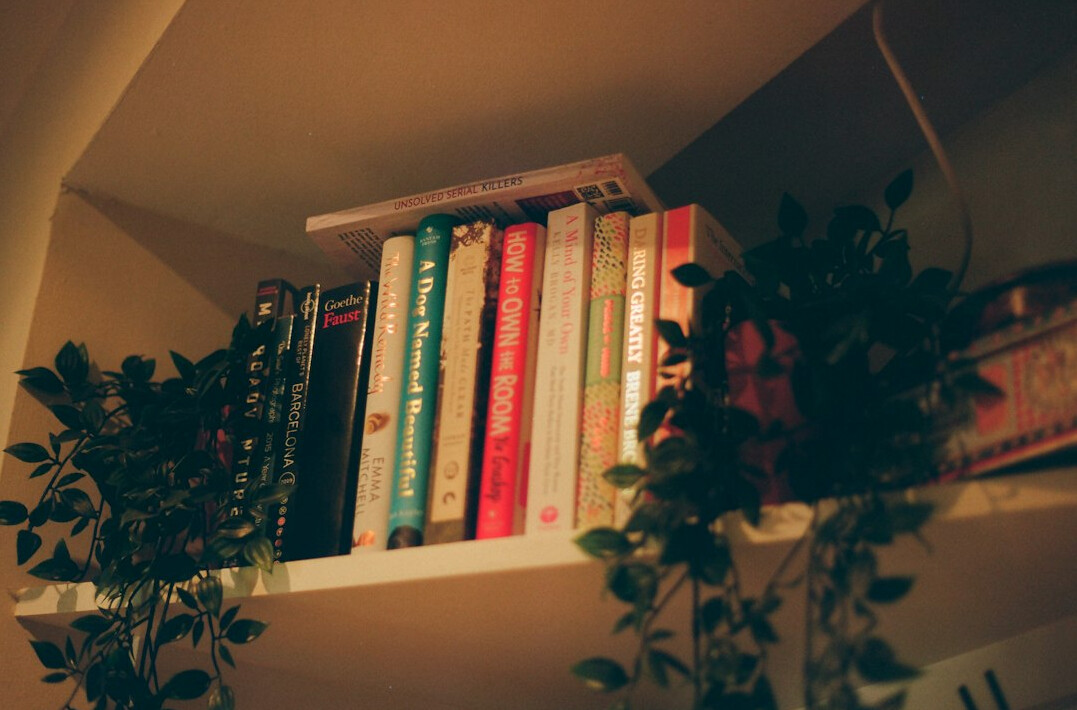 Library shelves full of books in warm light